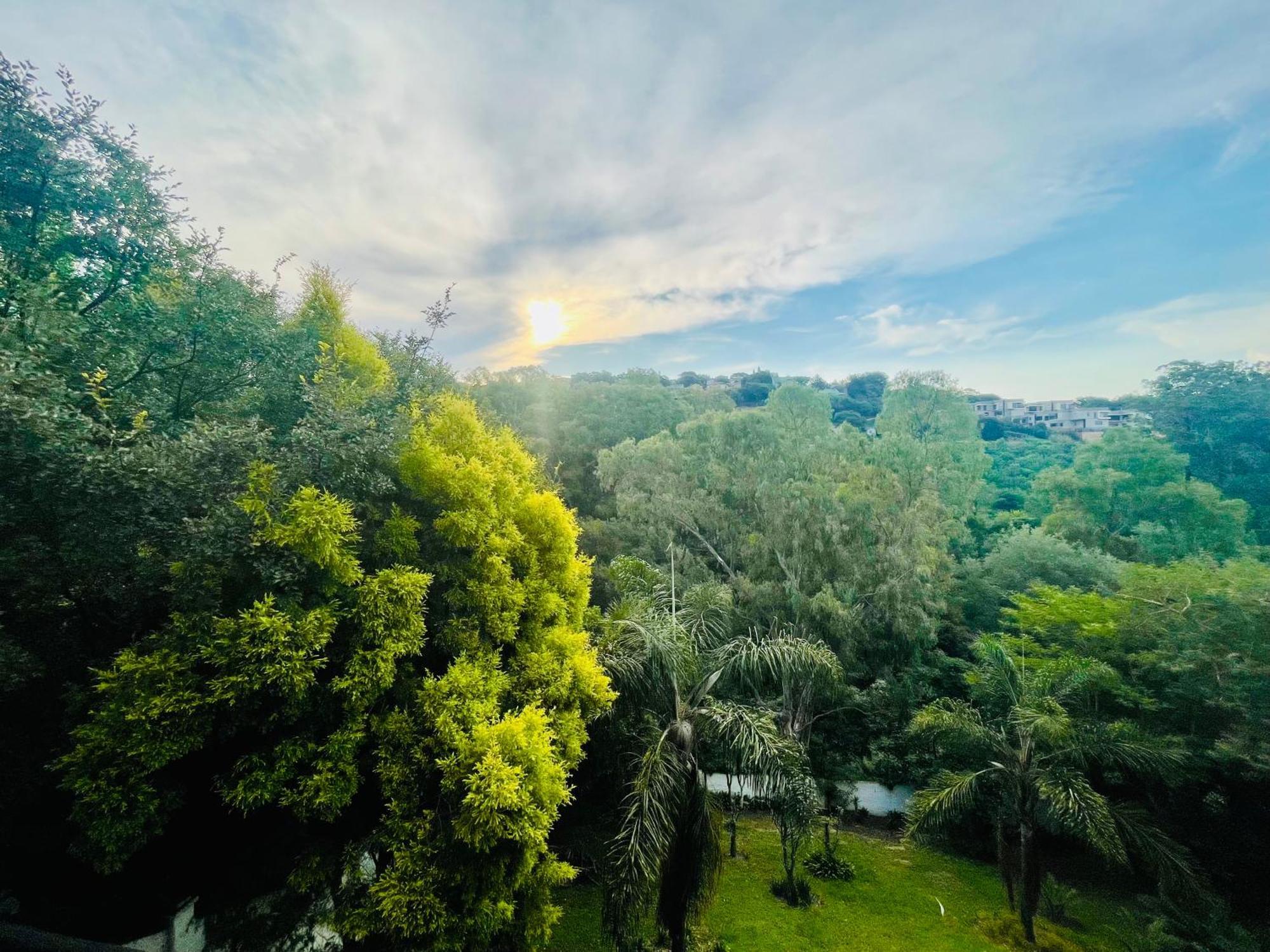 Pretoria Mansion Boutique Hotel Coral Tree 外观 照片